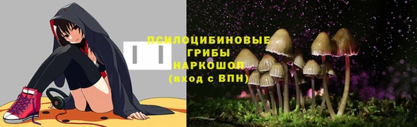 каннабис Новокубанск