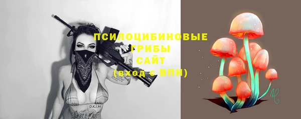 бошки Нея