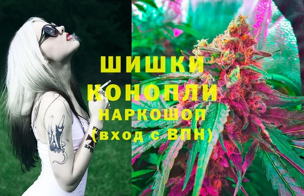 ECSTASY Нефтекумск