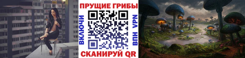 Галлюциногенные грибы мухоморы  мега   Мирный 