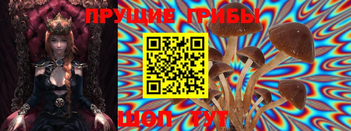 Псилоцибиновые грибы GOLDEN TEACHER Мирный