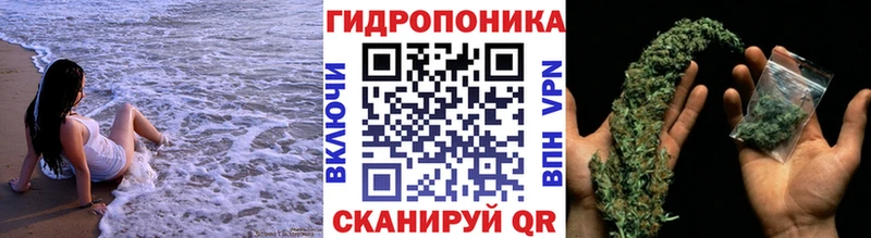 Марихуана MAZAR  цены   Мирный 