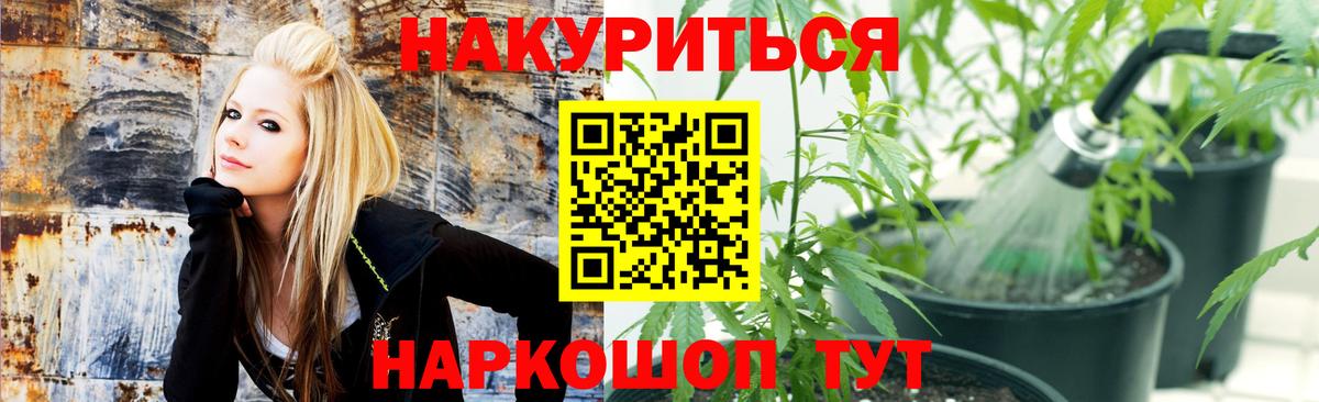 Шишки марихуана MAZAR Мирный